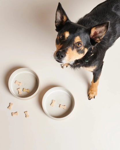 CERAMIC BOWL