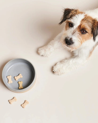 CERAMIC BOWL