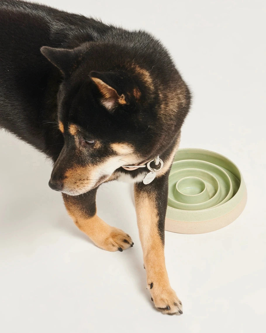 CERAMIC SLOW BOWL